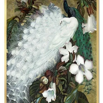 Obraz drukowany - zwierzęta - 53x73 cm - g106163