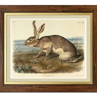 Obraz - inne - 51x61cm - g99359