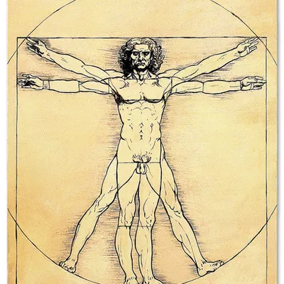 Obraz - kopie - inne - 120x180cm - g118874
