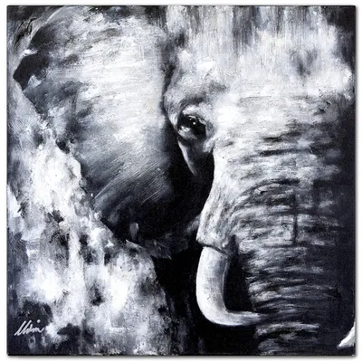 Obraz - słonie - 90x90cm - g104962