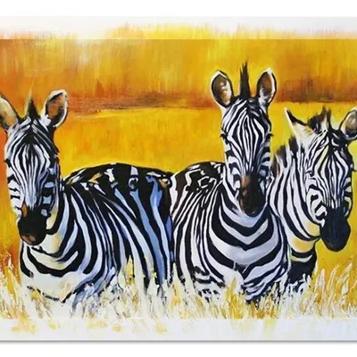 Zwierzęta - zebra - 75x105 cm - g04364