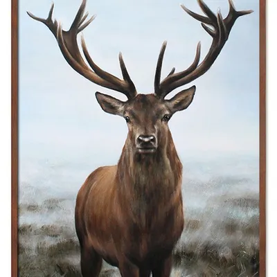 Obraz - inne - 63x93cm - g114995