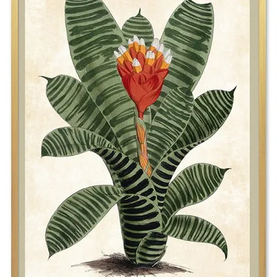 Obraz - tropikalne liście i kwiaty - 53x73cm - g102573