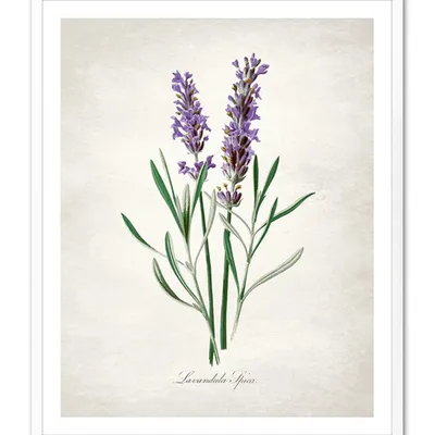 Obraz - inne - 43x53cm - g106131