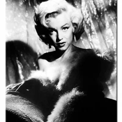 Marilyn monroe - boa z piór - 40x50 cm - g17832