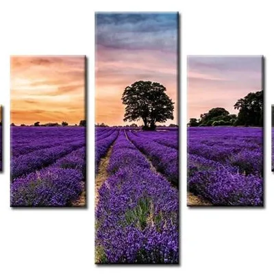 Lawenda - lawendowe pole - 150x50 cm, 45x90 cm x2, 40x50 cm x2 - g17762