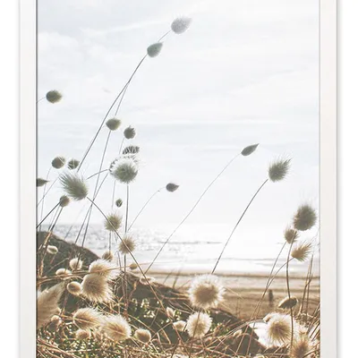 Obraz - inne - 33x43cm - g112348