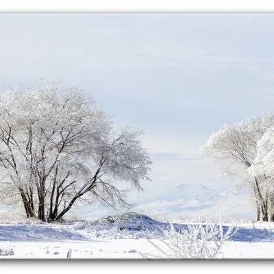 Krajobrazy - śnieżny pejzaż - 60x90 cm - g93281