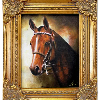 Obraz - konie - 30x35cm - g05496