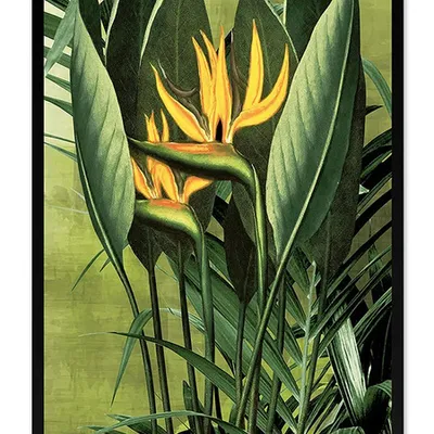 Obraz - tropikalne liście i kwiaty - 53x73cm - g103321