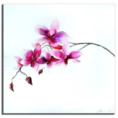 Feng shui - gałązka kwiatów - 60x60 cm - g01640