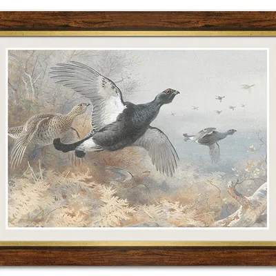 Obraz - ptaki - 61x81cm - g114715
