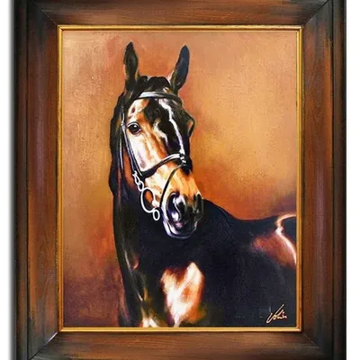 Obraz - konie - 55x65cm - g03992