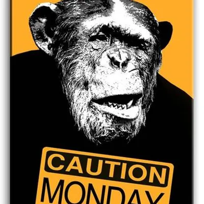 Na wesoło - caution: monday - 60x90 cm - g93198