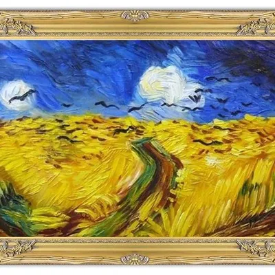 Vincent van gogh - kruki nad łanem zboża - 75x105 cm - g02486