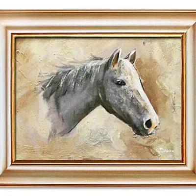 Zwierzęta - siwy tuman - 40x50 cm - g03721