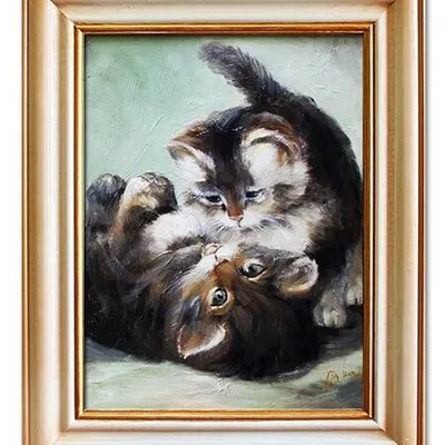 Zwierzęta - kocie harce - 40x50 cm - g03557