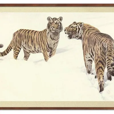 Obraz drukowany - zwierzęta - 53x73 cm - g115598