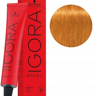 Schwarzkopf farba igora royal 60ml 9-7 extra jasny blond miedziany