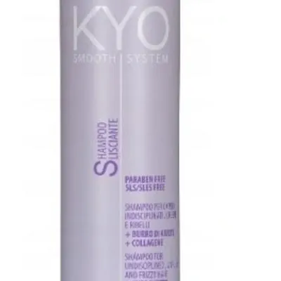 Kyo smooth system frizzy hair shampoo 500 ml