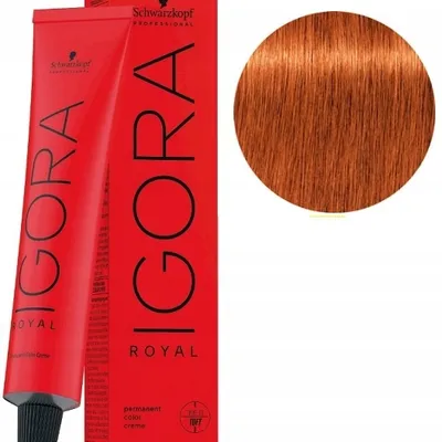 Schwarzkopf farba igora royal 60ml 7-77 średni blond miedziany extra