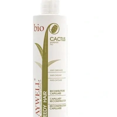 Raywell bio cactus speedy reconstructor 250 ml