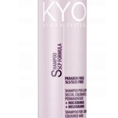 Kyo hydra system dry coloured hair shampoo 1000 ml