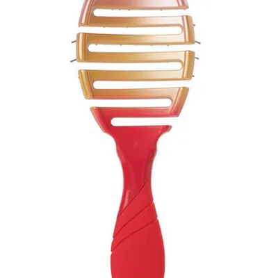 Wet brush pro flex dry ombre coral