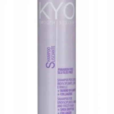 Kyo smooth system frizzy hair shampoo 250 ml