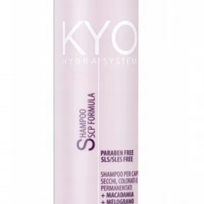Kyo hydra system dry coloured hair shampoo 500 ml