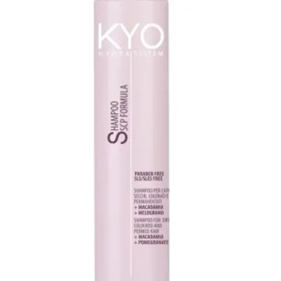 Kyo hydra system dry coloured hair shampoo 250 ml