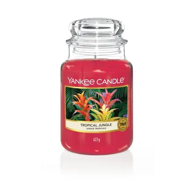 Yankee candle tropical jungle słoik duży 623g