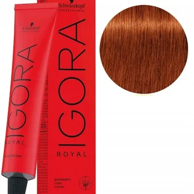 Schwarzkopf farba igora royal 60ml 6-77 ciemny blond miedziany extra
