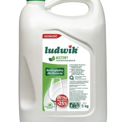 Ludwik płyn do mycia naczyń miętowy 5 l
