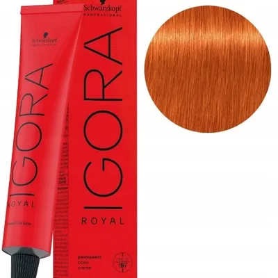 Schwarzkopf farba igora royal 60ml 8-77 jasny blond miedziany extra