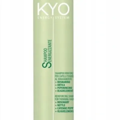 Kyo energy system reinforcing shampoo 250 ml