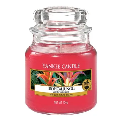 Yankee candle small jar tropical jungle 104g