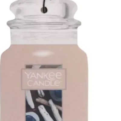 Yankee candle car jar single seaside woods