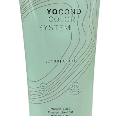Kemon yo cond marron glace kasztan 250 ml