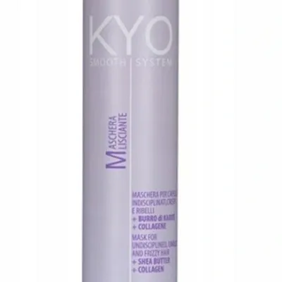 Kyo smooth system frizzy hair mask 250 ml