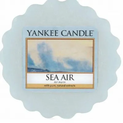 Yankee candle sea air wosk 22 g