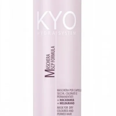 Kyo hydra system dry coloured hair mask 500 ml