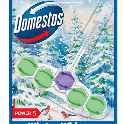 Domestos kostka koszyk 50 g power 5 winter whispers pine